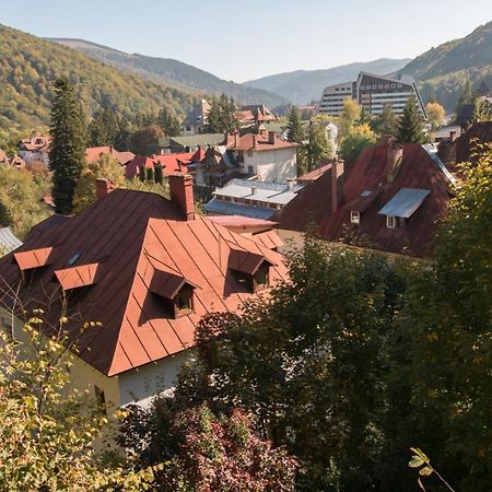 Rustic Regal Lejlighed Sinaia Eksteriør billede